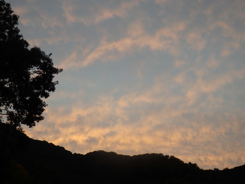 a0054240_21385083.jpg