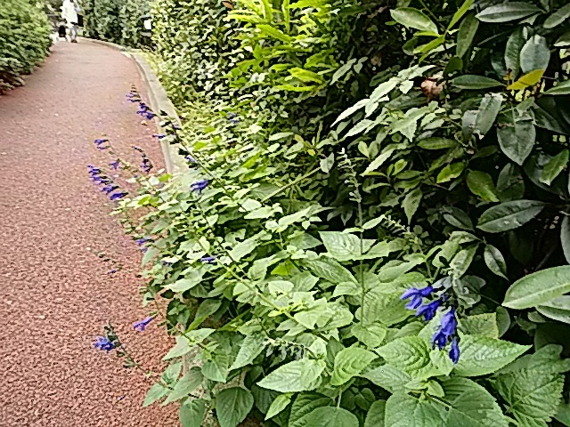 b0133752_22045959.jpg