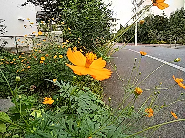 b0133752_22050968.jpg