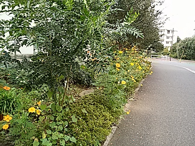 b0133752_22051559.jpg