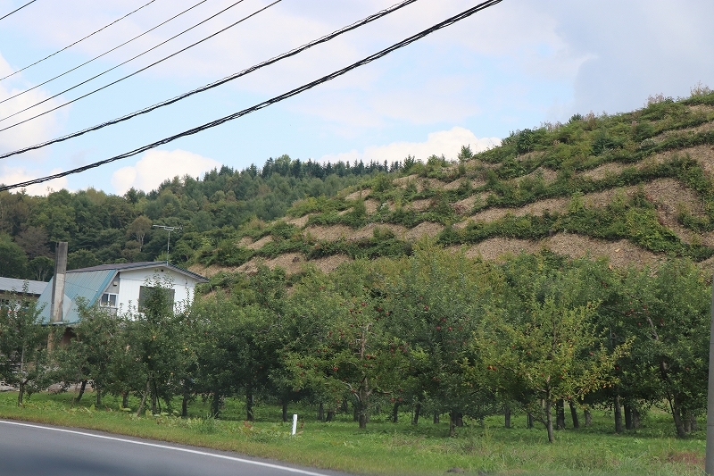 b0250154_20135546.jpg