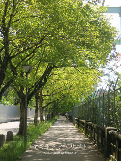a0286855_05254698.jpg