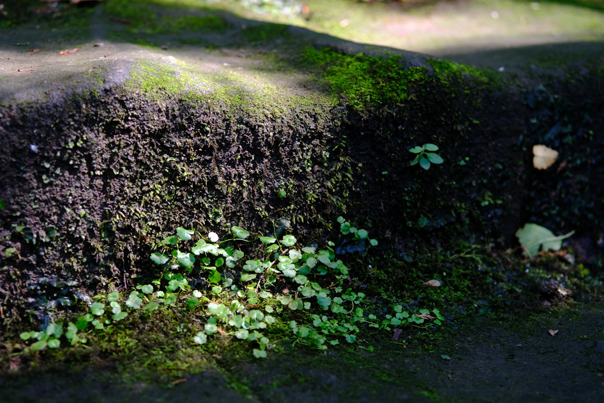 c0084666_12255830.jpg