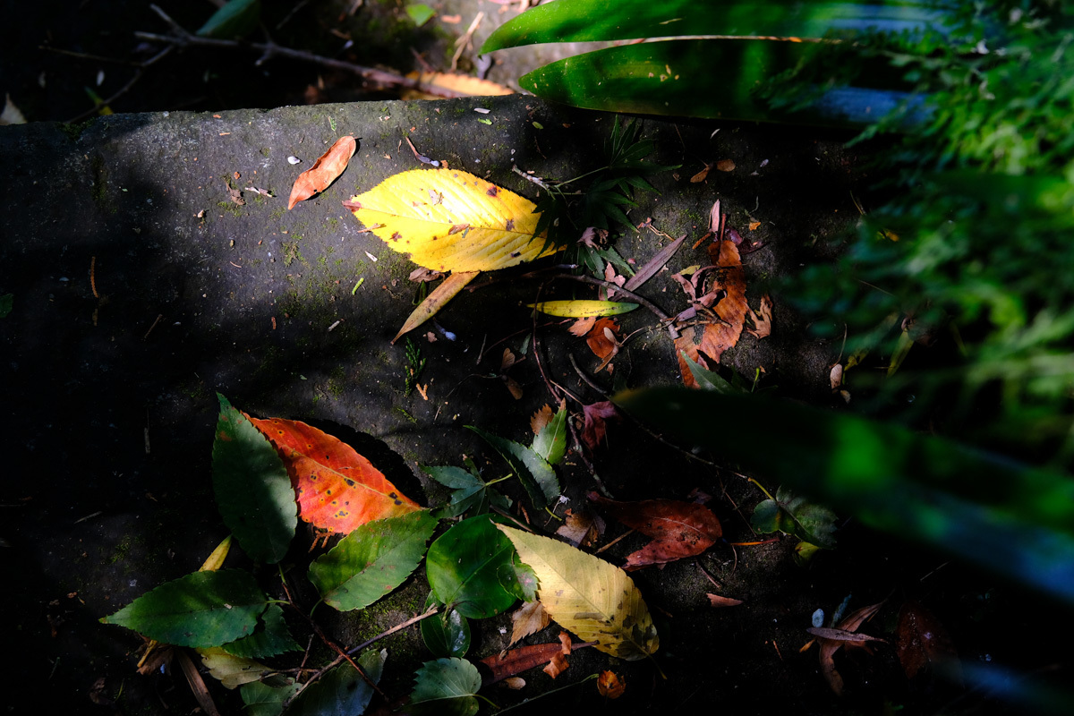 c0084666_12255926.jpg
