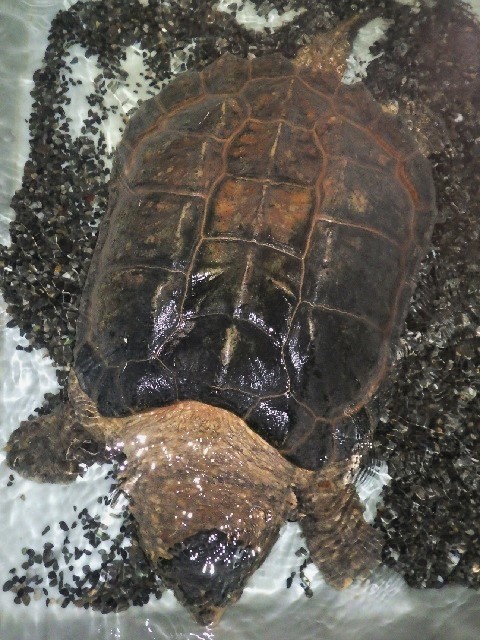 c0105569_01232490.jpg