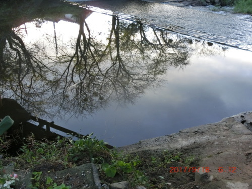 d0007071_15251869.jpg