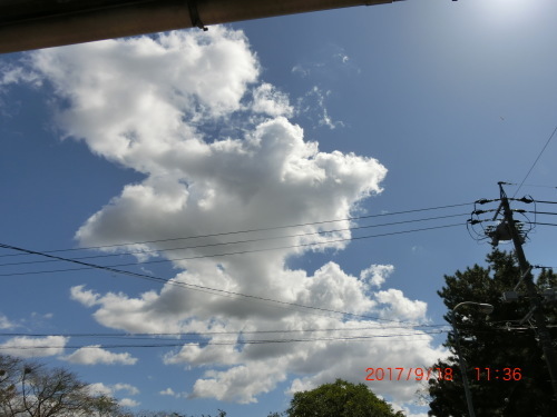 d0007071_15274894.jpg