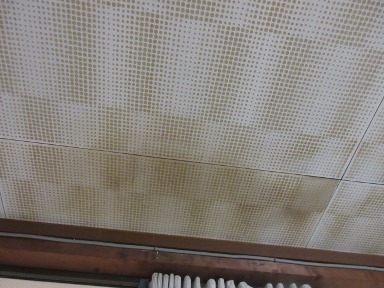 e0240973_18502365.jpg
