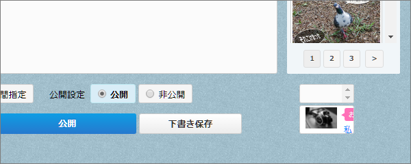 a0349576_22355392.png