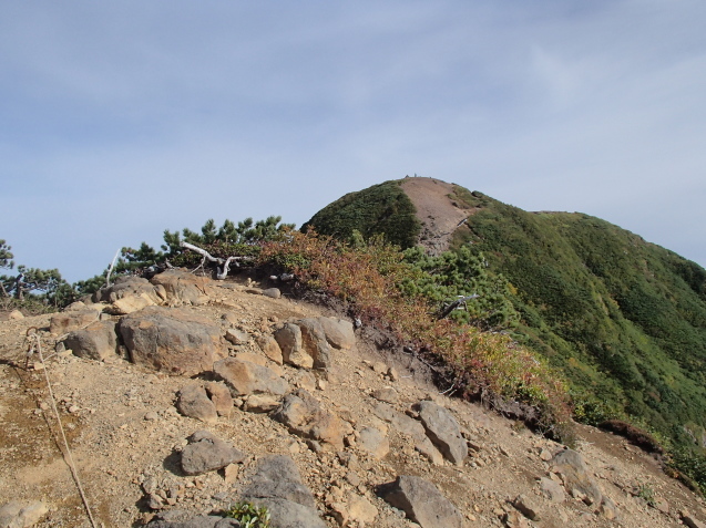 f0130376_20190962.jpg