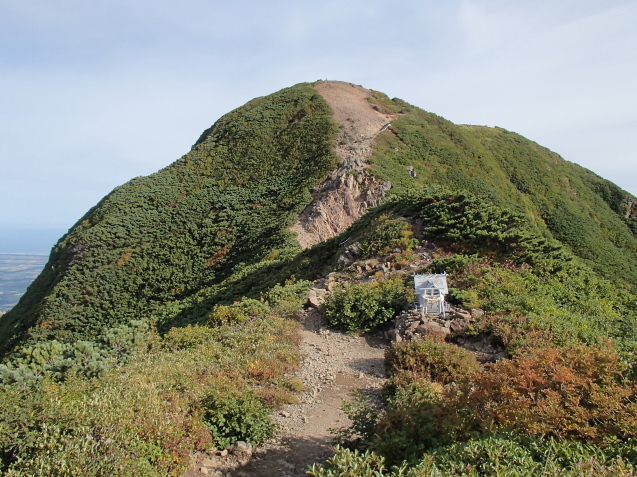 f0130376_20192552.jpg