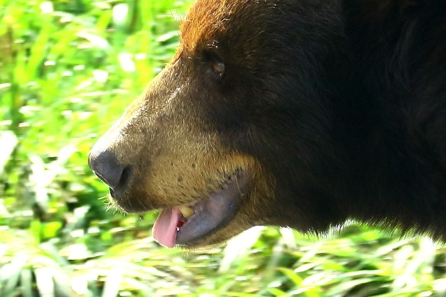 d0126577_14035446.jpg