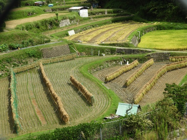 f0378979_18572039.jpg