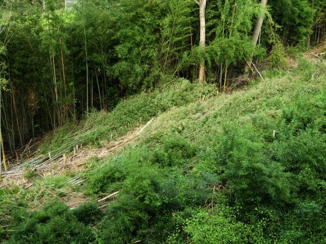 f0378979_18593194.jpg