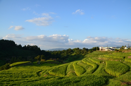 c0229483_16453138.jpg