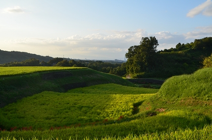 c0229483_16455333.jpg