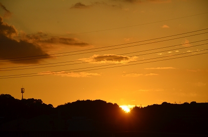 c0229483_168286.jpg