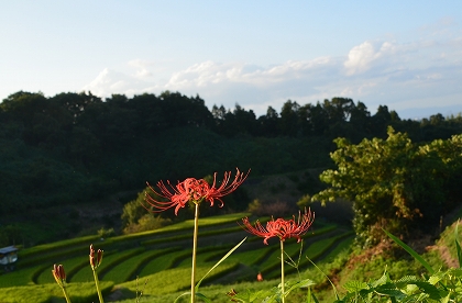 c0229483_21373211.jpg