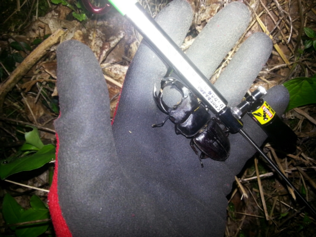 f0183484_03023734.jpg