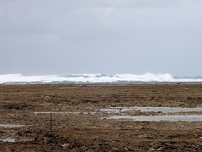 f0338188_23394410.jpg
