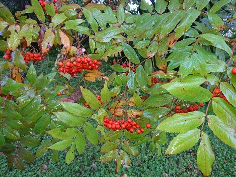 f0029393_04375001.jpg