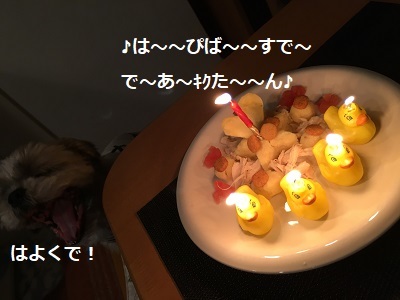 f0372998_20291547.jpg