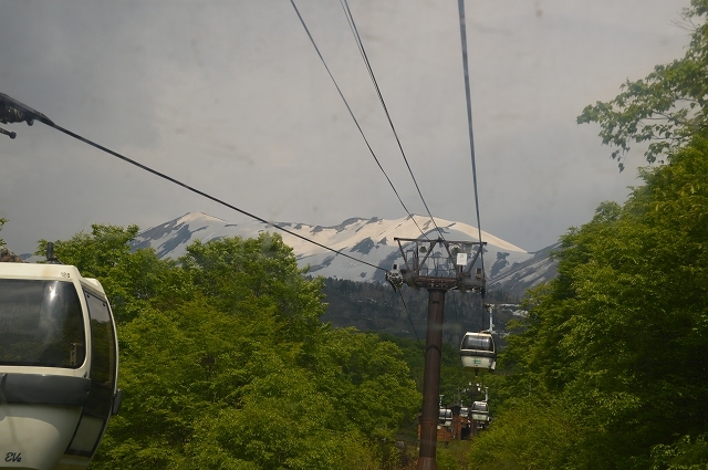 c0124100_18023016.jpg
