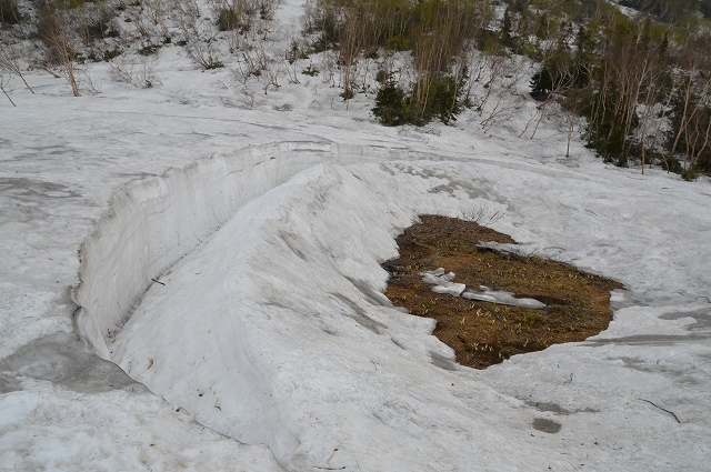 c0124100_18024488.jpg