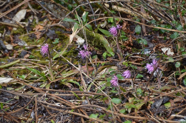 c0124100_18034933.jpg