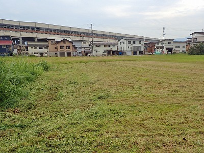 c0336902_19421467.jpg