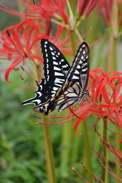 a0240403_14235067.jpg