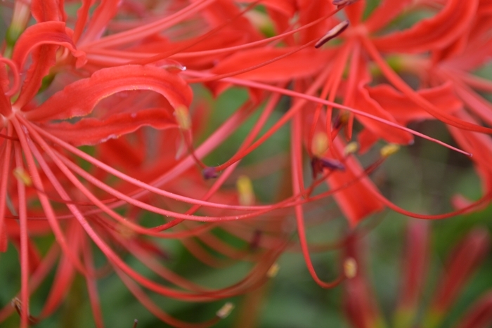 a0240403_14240475.jpg