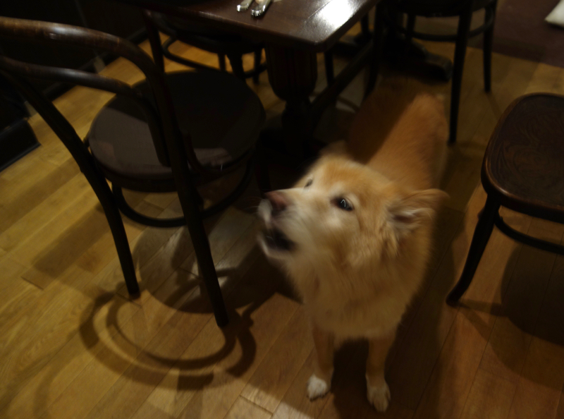 b0099903_1871293.jpg