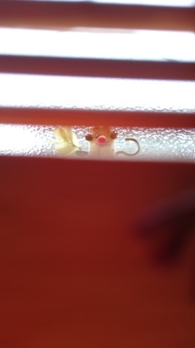 e0351303_11554883.jpg