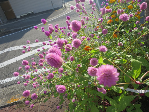 c0212604_20221721.jpg
