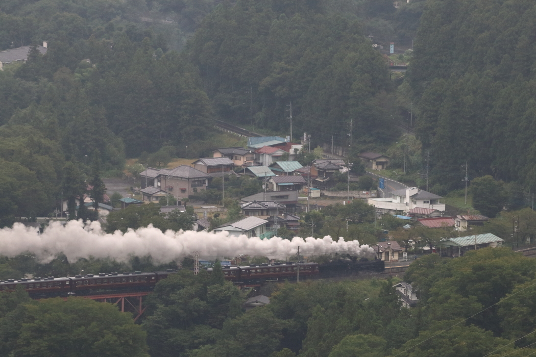 b0190710_23110322.jpg