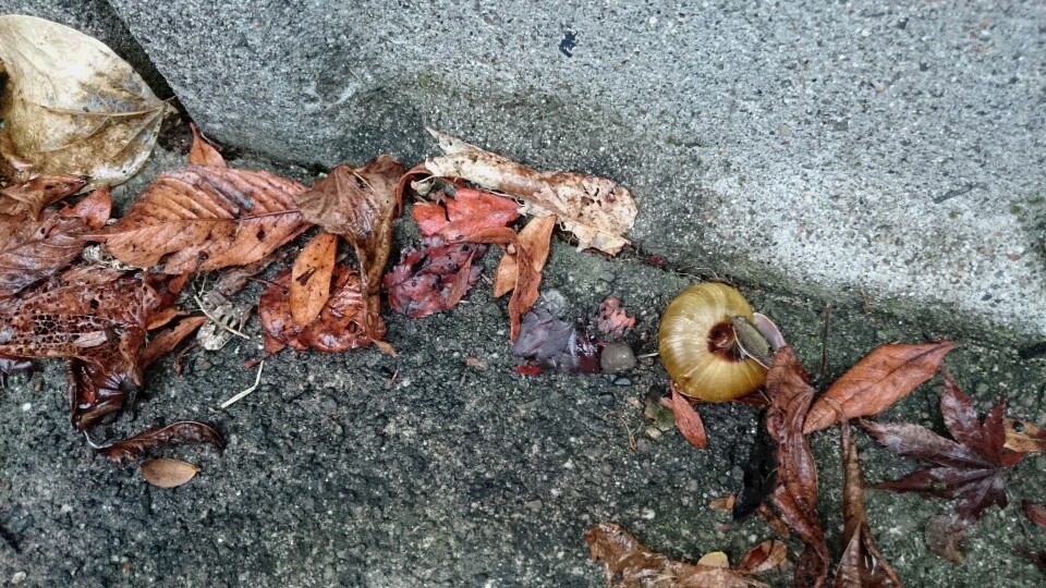f0202137_1825315.jpg