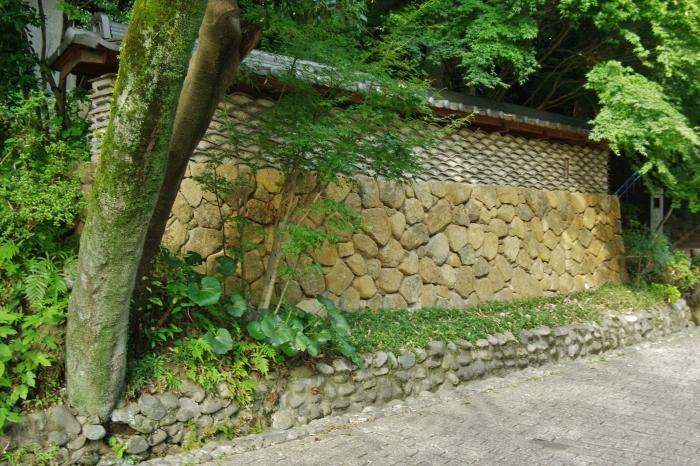 d0185744_19195592.jpg