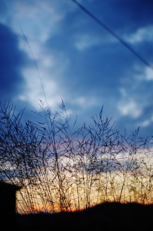 a0299749_22575326.jpg
