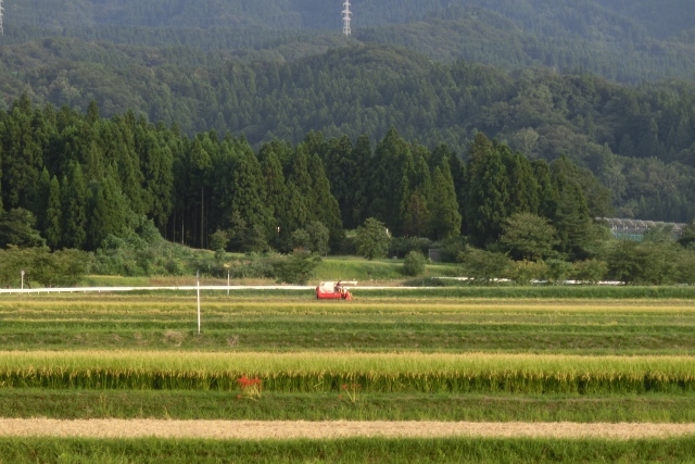 a0185551_08274417.jpg