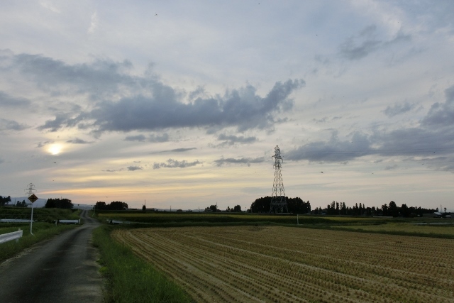 a0185551_08482497.jpg