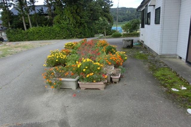 a0185551_09013410.jpg