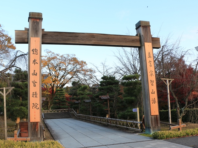 e0017051_2145166.jpg