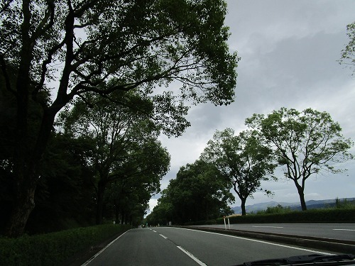 c0327752_14522290.jpg