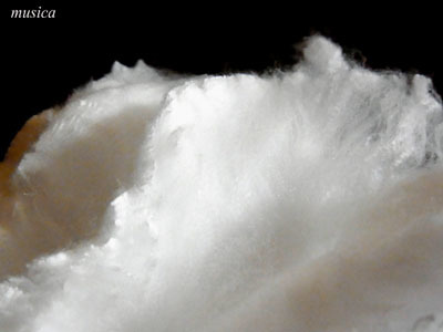 f0351853_04422320.jpg