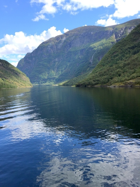 a0202860_09080205.jpg