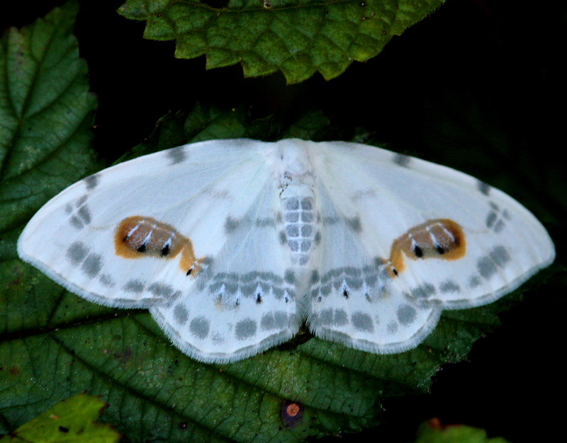 c0305565_17451494.jpg