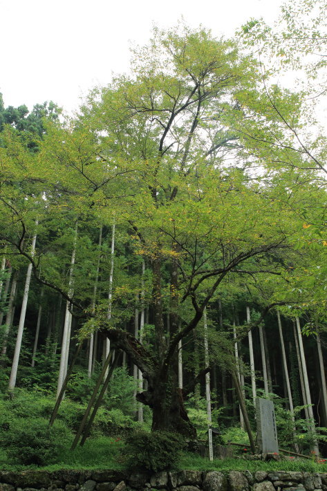 c0358784_19225991.jpg