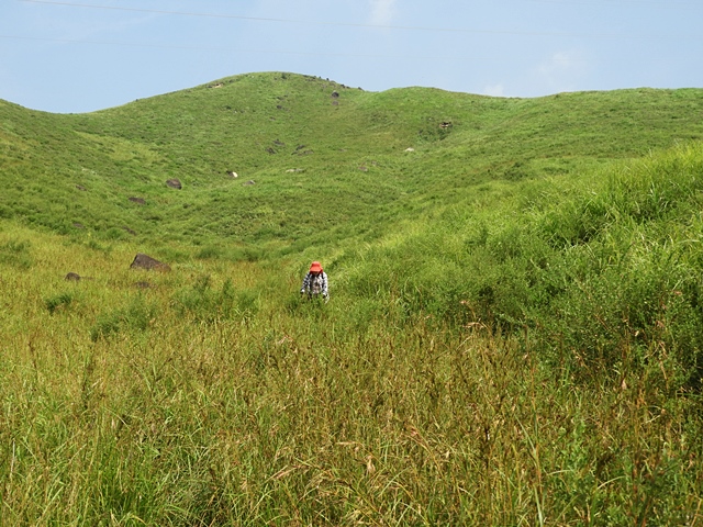 f0357487_2315017.jpg