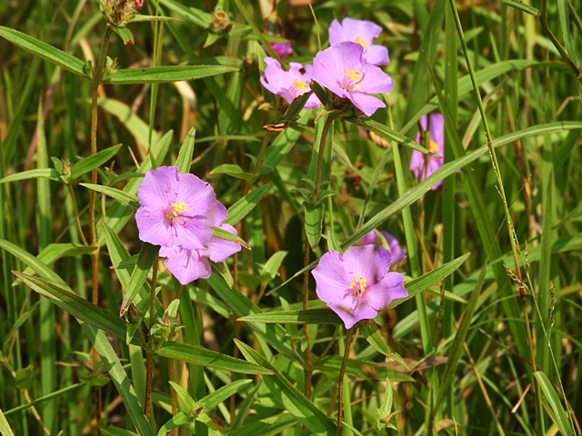 f0357487_2322468.jpg